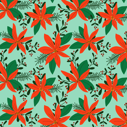 Poinsettias in Mint