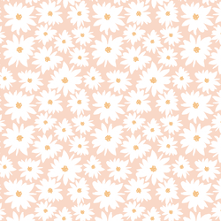 Farm Daisy in Peony