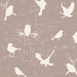 Spread your Wings in Feather