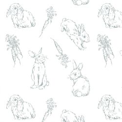 Cottontail Corner in Spring