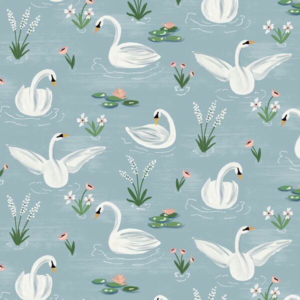 A Swan