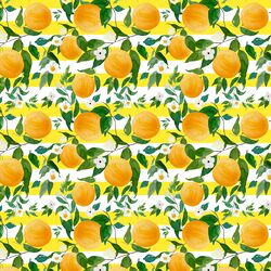 Small Oranges in Lemon Stripes