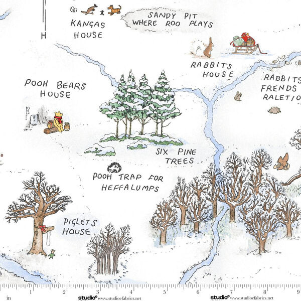Frosted Acre Wood in Snow