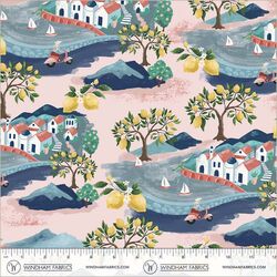 Little Village in Pale Pink
