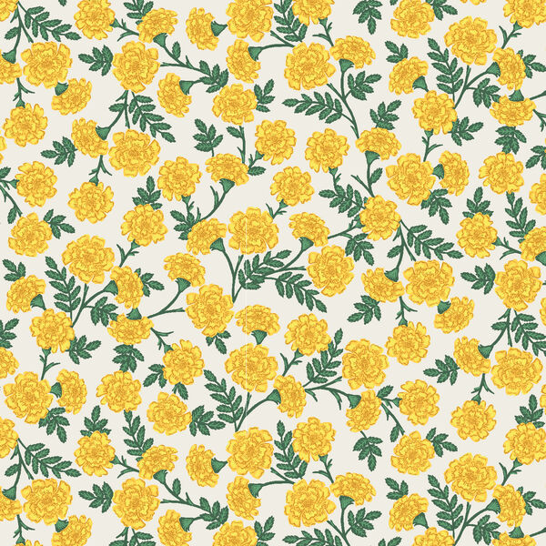 Dianthus in Yellow