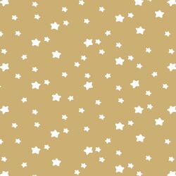Star Light in Golden Canyon
