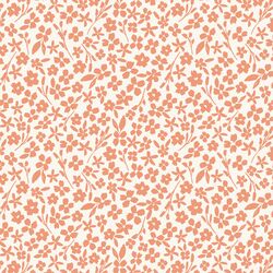 Little Lady in Apricot on Cream