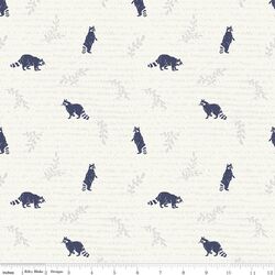 Raccoons in Canyon Rose