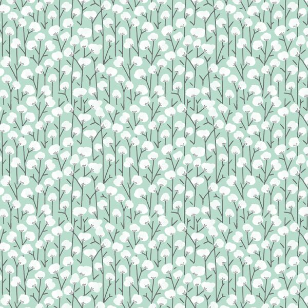 Cotton Field in Mint