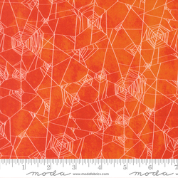 Spider Web in Spice