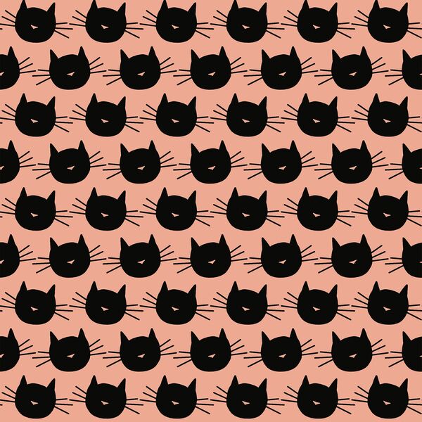 Scaredy Cat in Bubblegum
