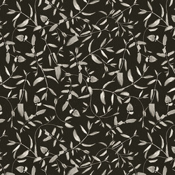 Vines in Black