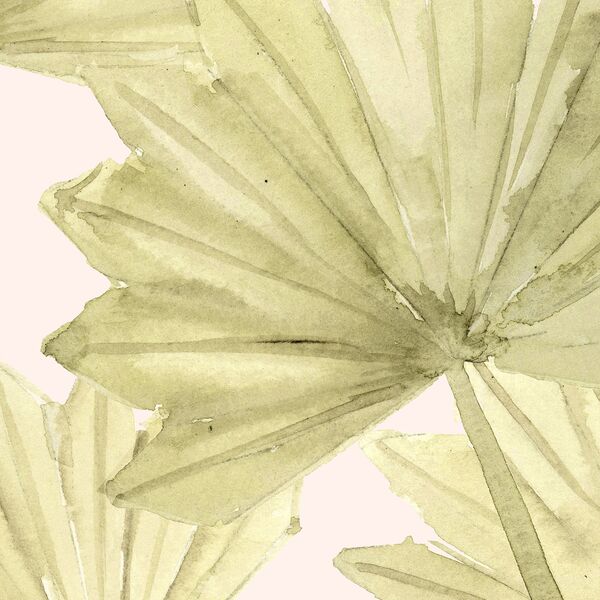 Large Dried Sun Palm in Dawn Pink