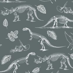 Fossils in Storm