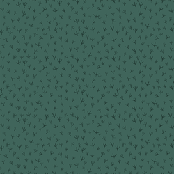 Tracks in Thicket