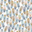Feathers in Tangier