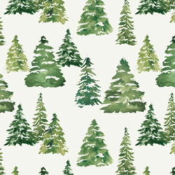 Pine Forest in Snow