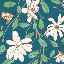 Magnolia Spring in Starling