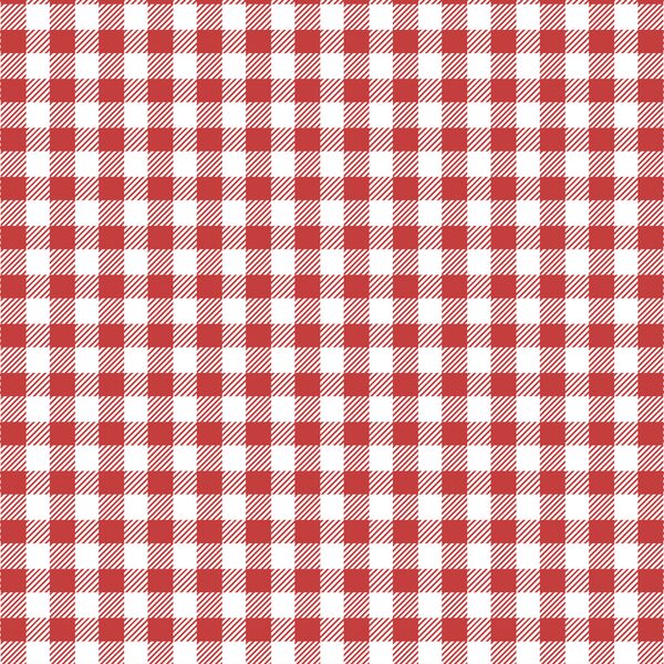 Small Buffalo Plaid in Geranium