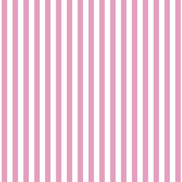 Dress Stripe in Begonia