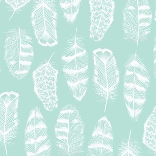 Plume in Aloe