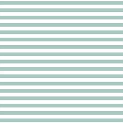 Horizontal Dress Stripe in Aspen