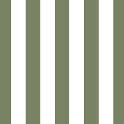 Play Stripe in Olive