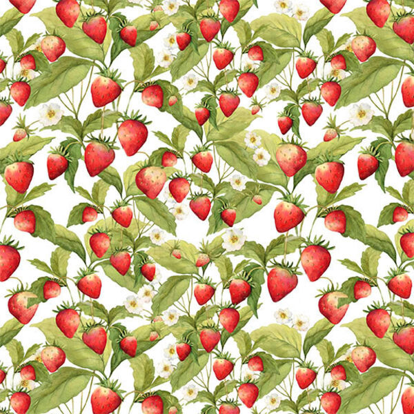 Strawberries in White