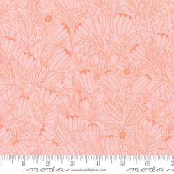Tulip Lines in Peach
