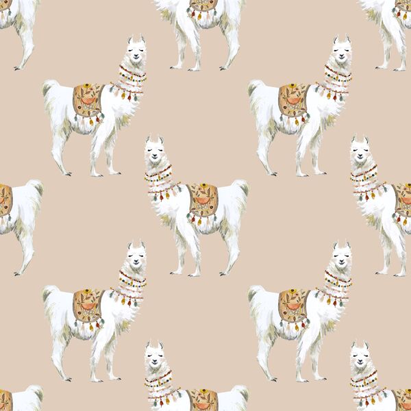 Llamas in Cashmere