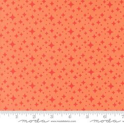 Starlight in Coral