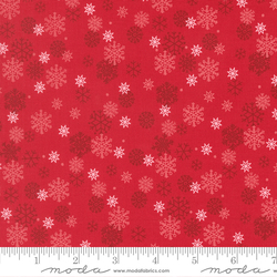 Snow Flurry in Poinsettia