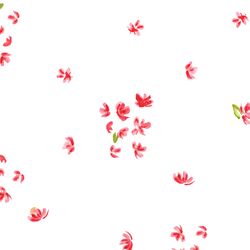 Large Scattered Bougainvillea in Red