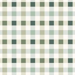 Irish Gingham in Lucky Day