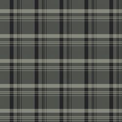 Plaid in Evening