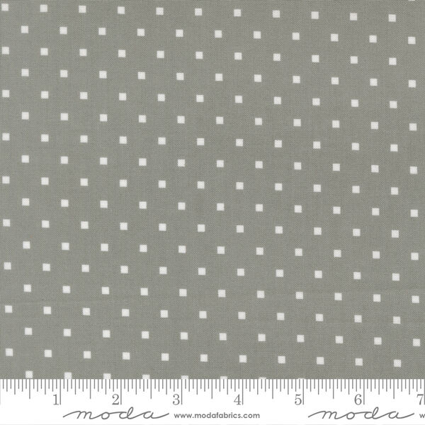 Cosmo Dot in Tabby