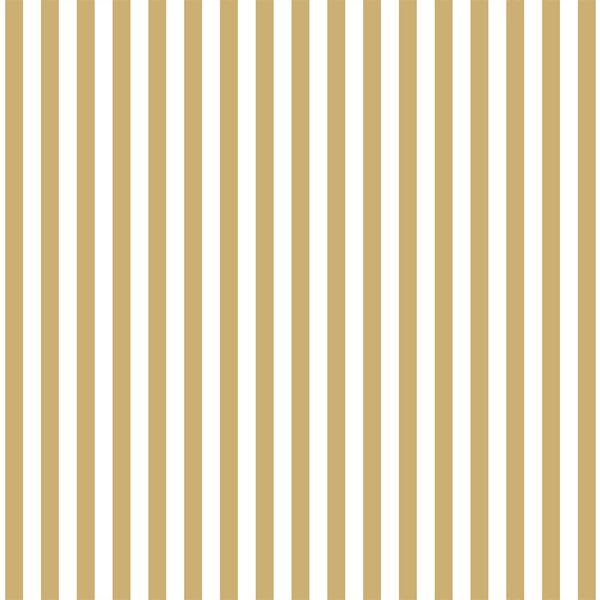 Dress Stripe in Golden Canyon