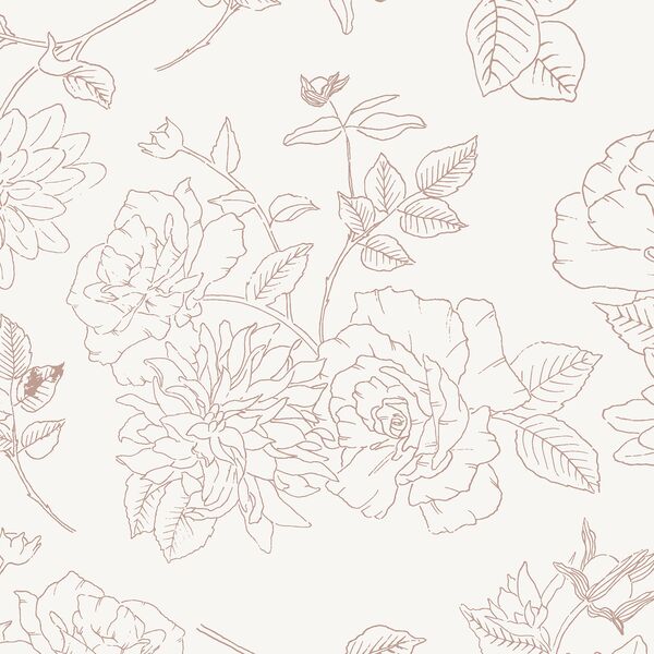 Large Garden Beauty in Mauve Blush