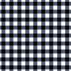 Winter Plaid in Midnight Blue