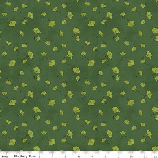 Ginkgo in Ivy