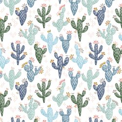 Succulents in White