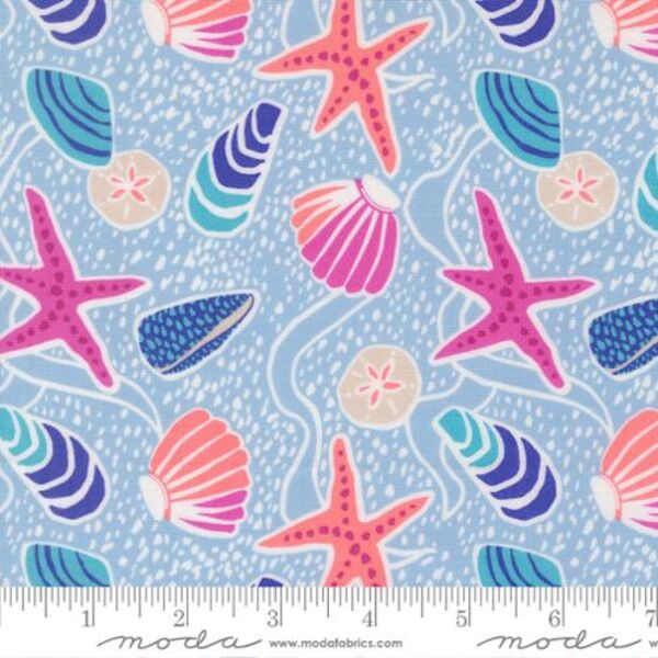 Sea Shells in Light Blue