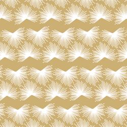 Yucca Stripe in Golden Canyon