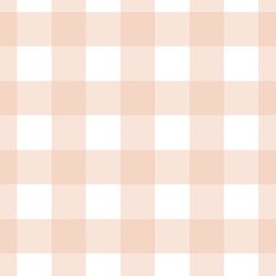 Large Gingham in Apricot