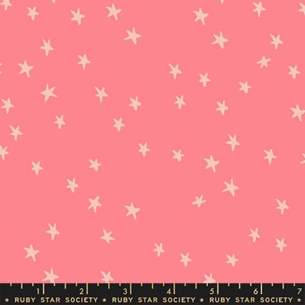 Starry in Watermelon