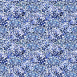 Packed Hydrangeas in Blue