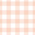 Large Gingham in Peaches