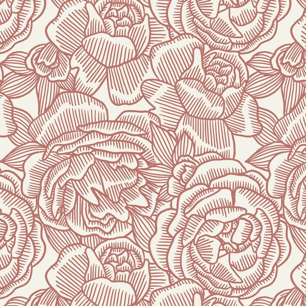 Bonnie in Pink on Cream