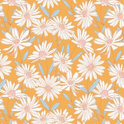 Daisy Fields in Golden Glow