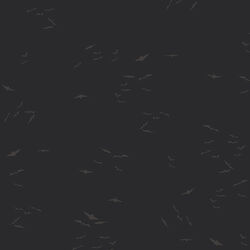 Silent Flight in Night Sky